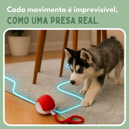 CãoFun™ - Bola de Aventura Interativa para os seus Cães