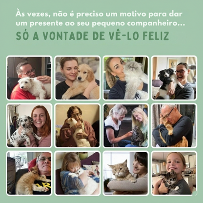 CãoFun™ - Bola de Aventura Interativa para os seus Cães