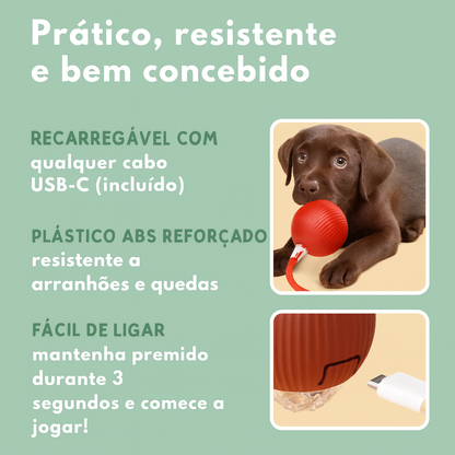 CãoFun™ - Bola de Aventura Interativa para os seus Cães