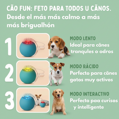 CãoFun™ - Bola de Aventura Interativa para os seus Cães