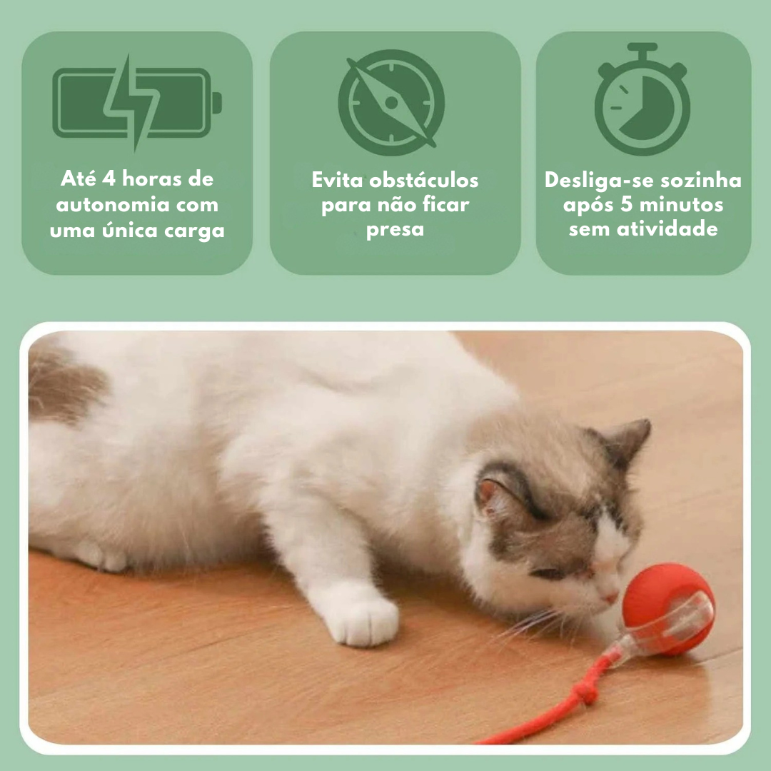 MiauFun™ - Bola de Aventura Interativa para os seus Gatos