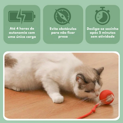 MiauFun™ - Bola de Aventura Interativa para os seus Gatos