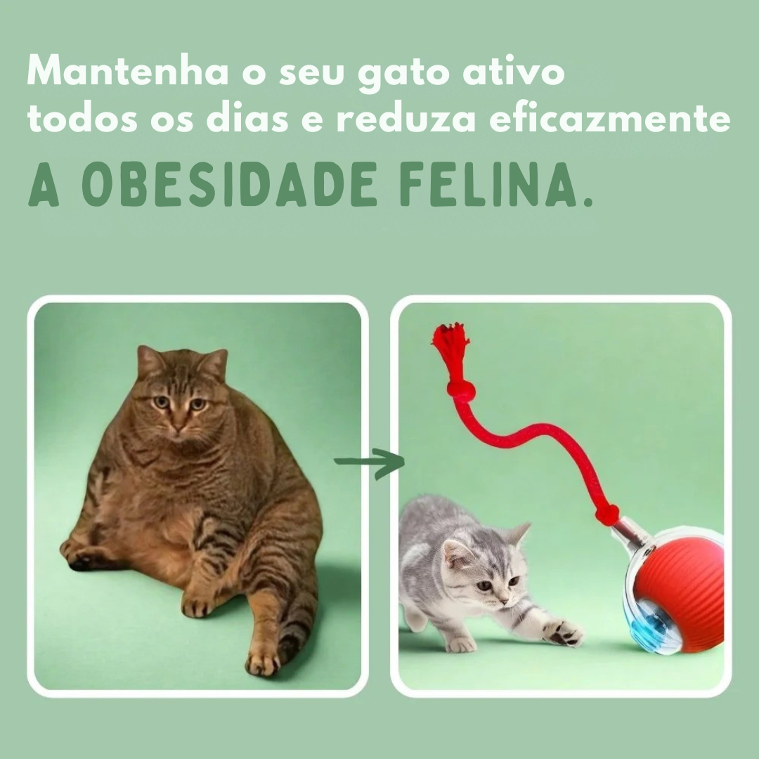 MiauFun™ - Bola de Aventura Interativa para os seus Gatos