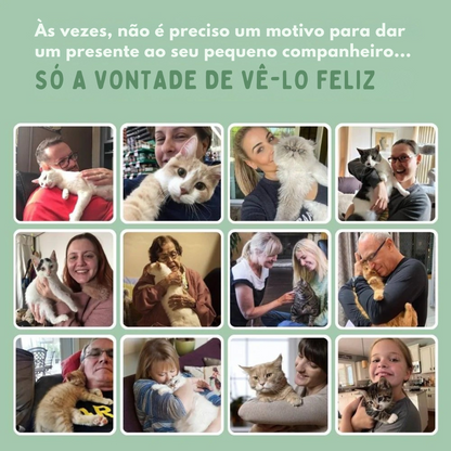 MiauFun™ - Bola de Aventura Interativa para os seus Gatos