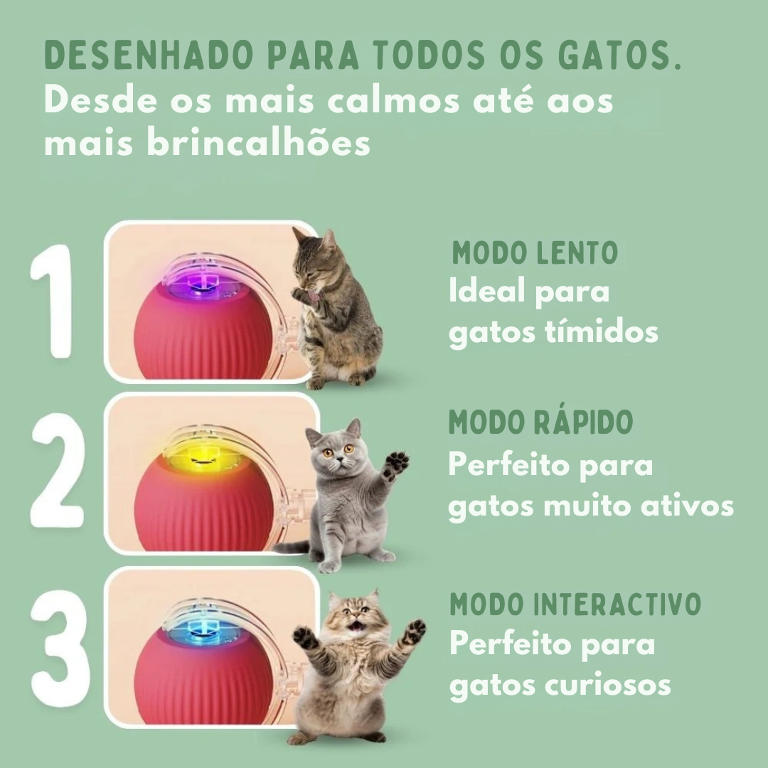 MiauFun™ - Bola de Aventura Interativa para os seus Gatos
