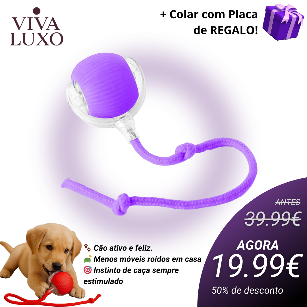 CãoFun™ - Bola de Aventura Interativa para os seus Cães