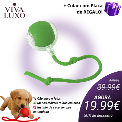 CãoFun™ - Bola de Aventura Interativa para os seus Cães
